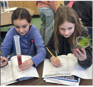 Science classroom photo provided by Lynbrook Public Schools.